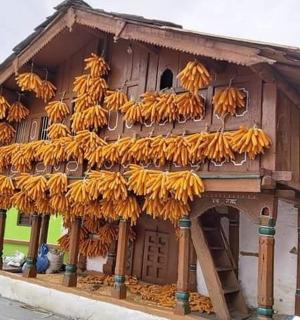 a bunch of bananas hanging from the side of a building