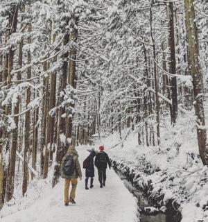 skupina lidí jdoucích po zasněžené cestě