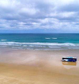 a truck on a beach near the ocean