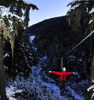 osoba v červené bundě kráčející zasněženým lesem