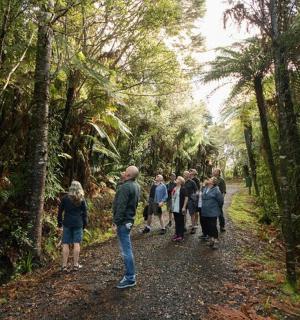 一群人沿着森林小路行走