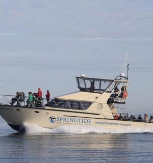 一群人在水中的船上