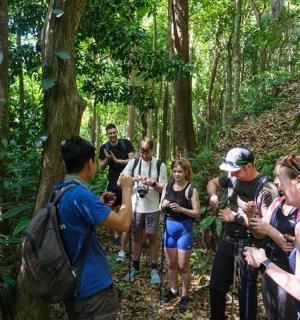 a group of people on a trail in the forest