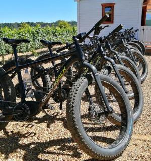 一排自行车停在房子前面