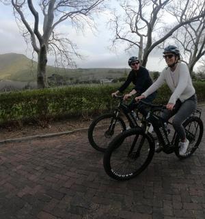 两个人骑着自行车沿着砖路行驶