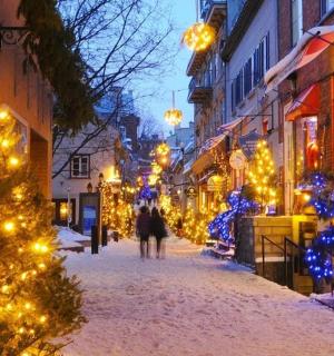 a street decorated with christmas trees and lights