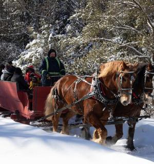 sekumpulan orang yang menaiki kereta kuda di dalam salji
