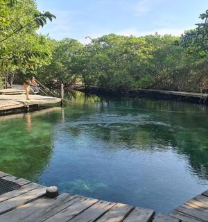 背景为树木的水域