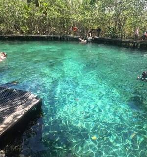 一群人在游泳池里游泳