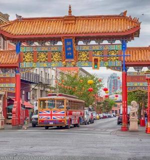 一辆红色巴士在一条街道上行驶