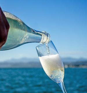 a person pouring a glass of wine in front of the water
