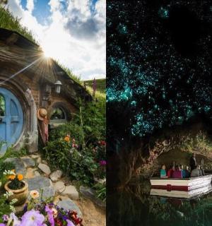 两张有花的房子和花园的照片