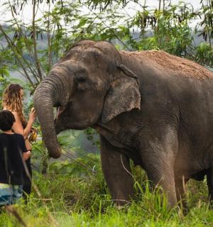 一个男孩和一个女孩站在大象旁边