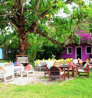 树下的一组桌椅