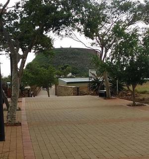 一条有树木和灯柱的砖砌人行道