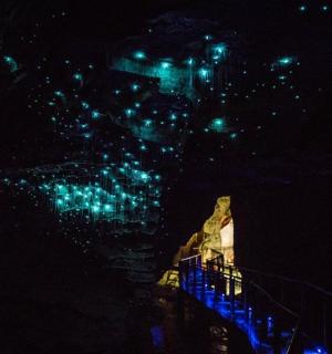 osvětlené město v noci se zelenými světly