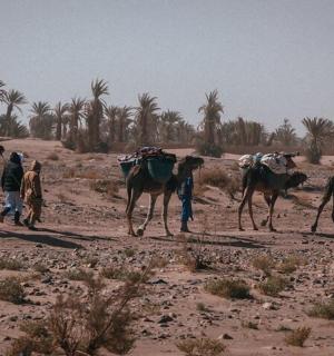 一群人牵着骆驼在沙漠中行走