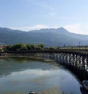 a bridge over a river with a boat on it