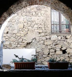 a stone wall with two potted plants in a window