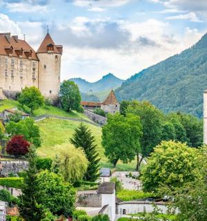 山上的城堡,有一座城镇和树木