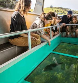 a group of people looking at a fish in an aquarium