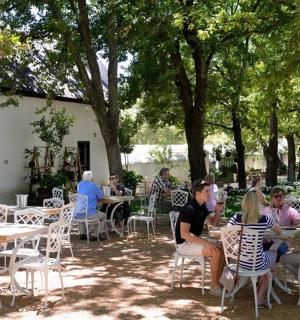 一群人坐在公园的桌子旁