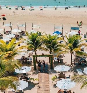 棕榈树和遮阳伞的海滩鸟瞰图