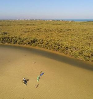 一群人站在河边的沙滩上