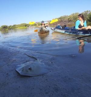 一群人在河上划皮划艇