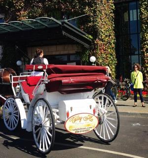 城市街道上的一辆马车