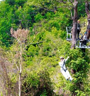 a group of people on a zip line in the trees