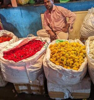 一名男子站在一堆花袋旁边