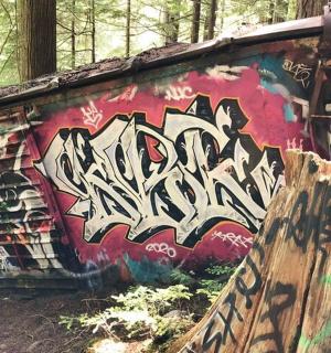 一栋侧面有涂鸦的建筑