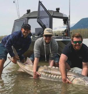 three men holding a large fish in the water