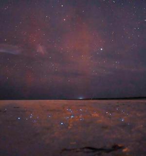 a starry night with the milky way in the sky