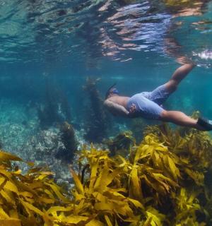 在水中游泳的人