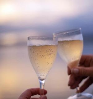 two people holding up glasses of champagne
