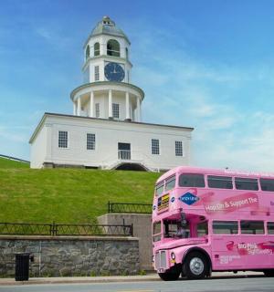 Bleikur tveggja hæða rúta lagt fyrir framan vita