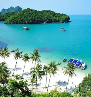 a beach with palm trees and boats in the water