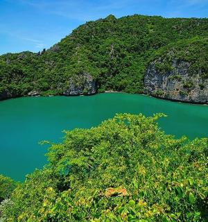 an aerial view of a green lake in a forest
