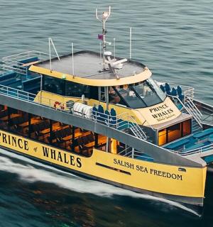 水中一艘黄色和蓝色的船