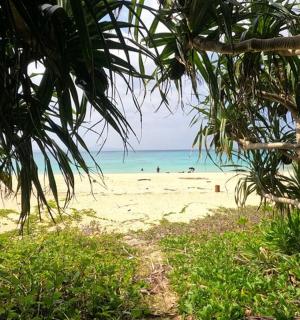 沙滩上和大海上都有人