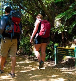 a group of people walking down a trail