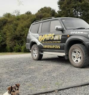 一只狗坐在一辆卡车前面