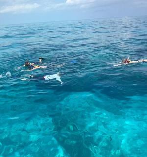 一群人在水中游泳