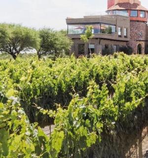 一片农田,背景是一栋建筑