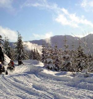 skupina lidí jezdících na snowboardech ve sněhu