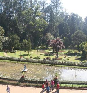 一群人在公园的池塘边散步