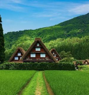 绿地中央的一栋房子