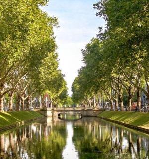 城市里有树木和桥梁的运河